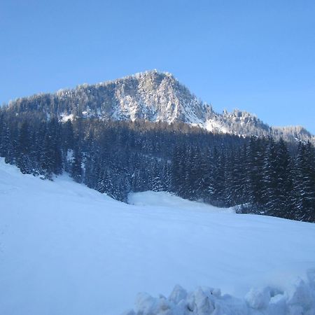 Oberschlassbergbauer Wald im Pinzgau Bagian luar foto