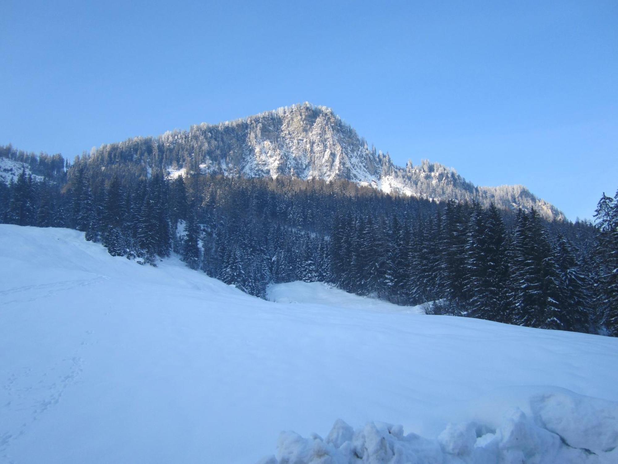 Oberschlassbergbauer Wald im Pinzgau Bagian luar foto